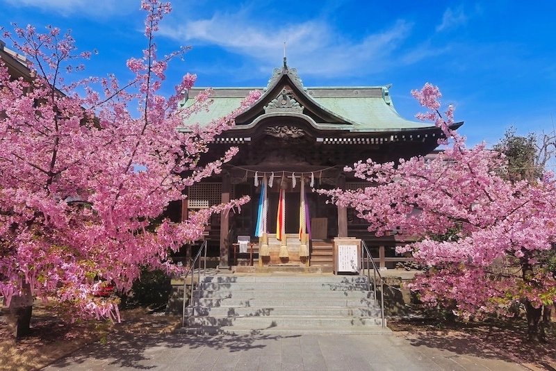 ⛩️ 사가 신사(사가진자) 이미지 6